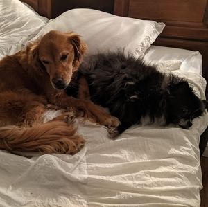 Meet your Posher, Gail